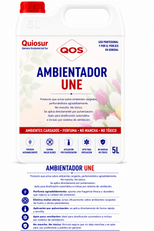 AMBIENTADOR UNE